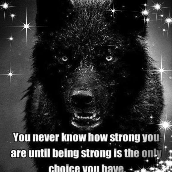 Meet your Posher, Gary - Picture 1 of 1